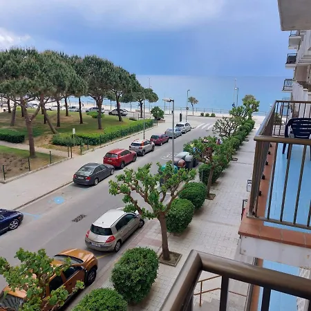 Apartment Bravaholidays-282-palmeras-2 Blanes