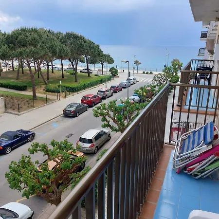 Bravaholidays-282-palmeras-2 * Blanes